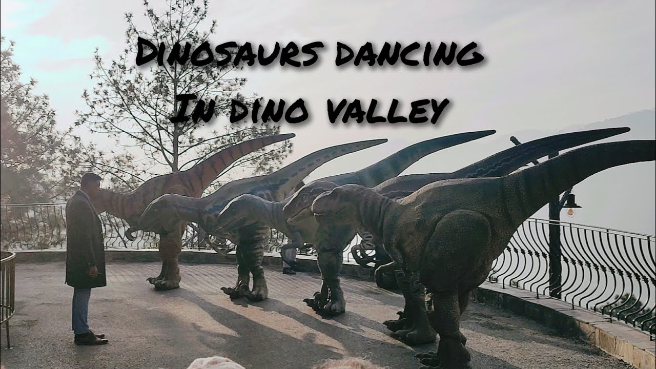 Amazing Dance of Dinosaurs|| Dino valley || kpk