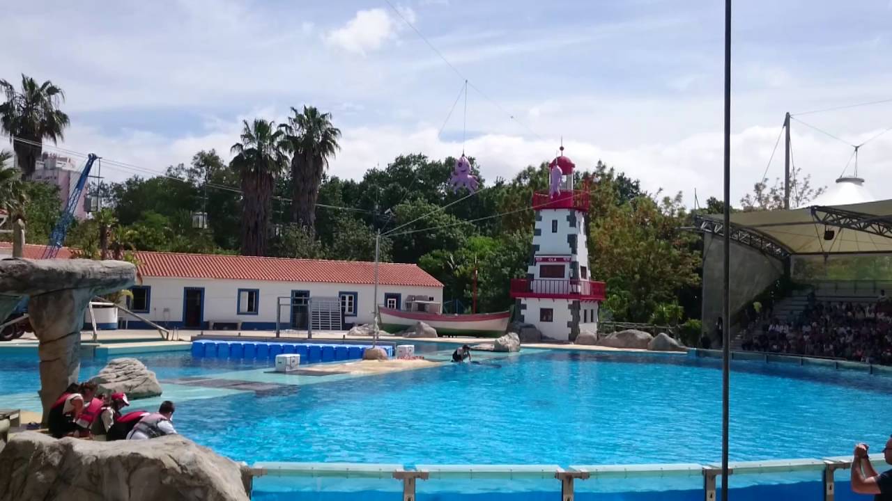 Jardim Zoologico lisboa - Golfinhos Show