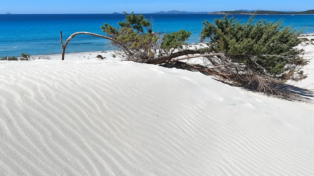 Le dune di sabbia bianca - spiaggia di  Is Arenas Biancas Teulada - Sardegna