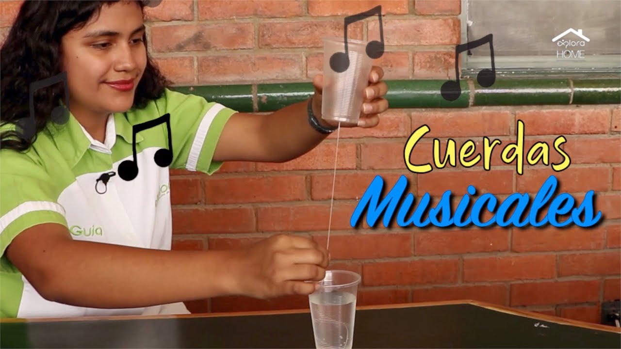 Cuerdas musicales // Experimentos de ciencia para ni&ntilde;os