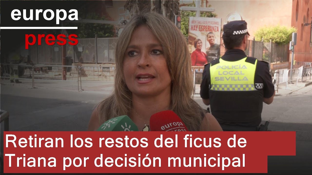 El Ayuntamiento retira finalmente el ficus de San Jacinto tres años después de su primera tala