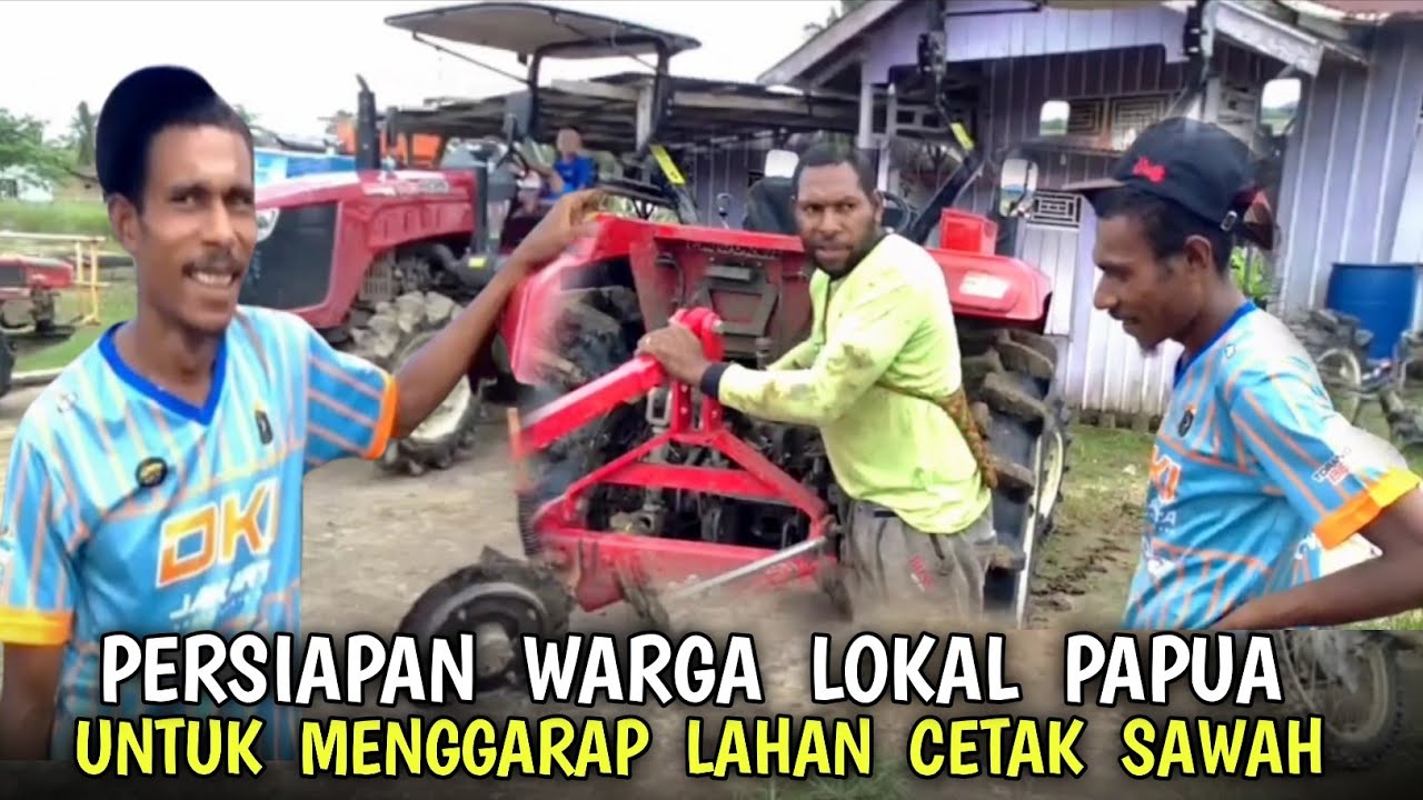 Persiapan❗warga lokal Papua dan pendatang untuk mengolah lahan cetak sawah 