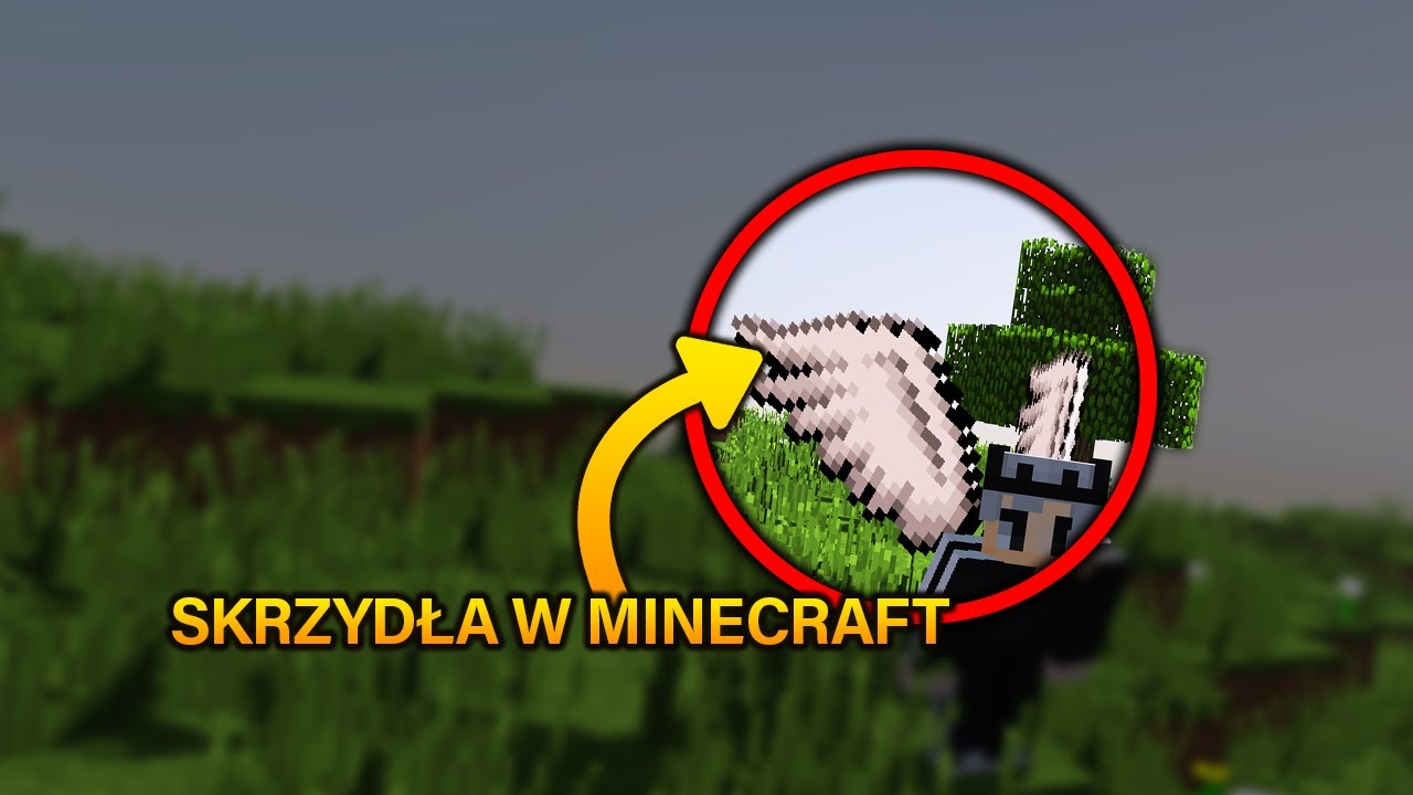 SKRZYDŁA W MINECRAFT