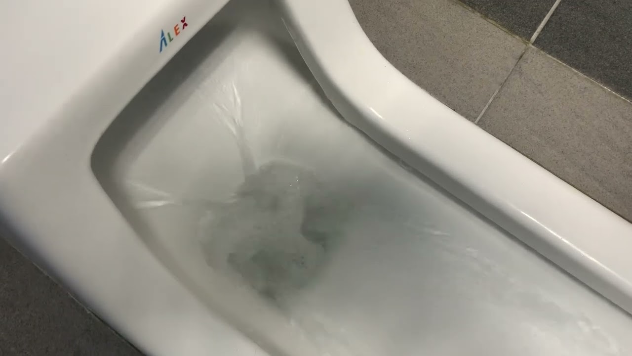 電光牌ALEX C5240蹲式馬桶