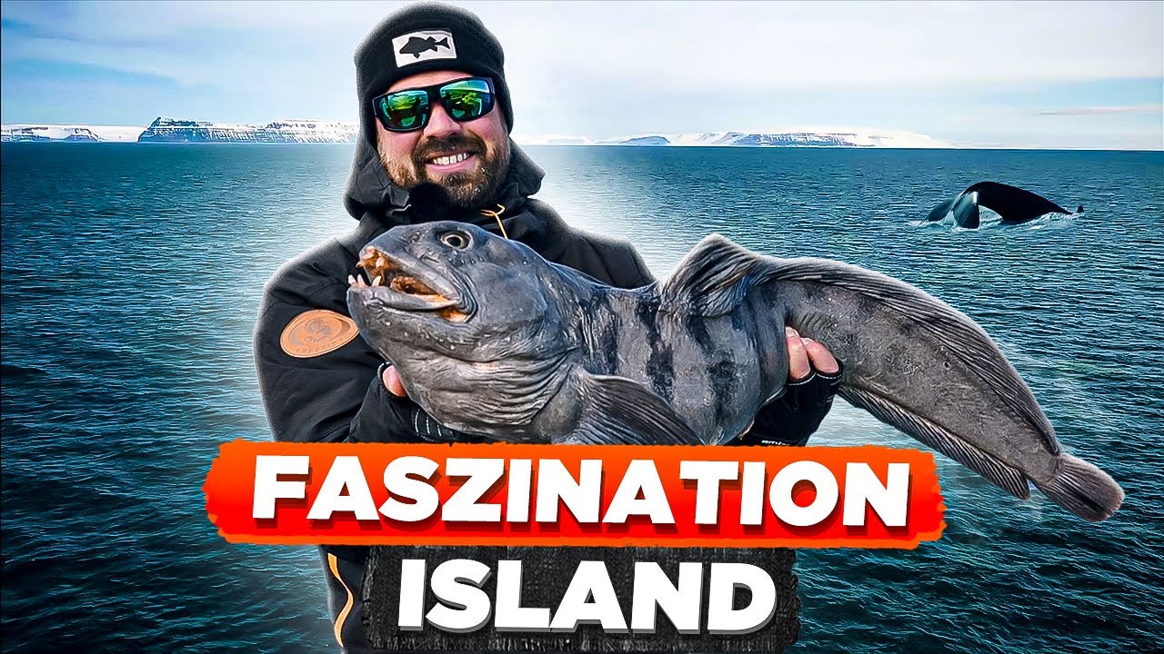FASZINATION ISLAND - Angeln zwischen WALEN und RIESIGEN Schneebergen