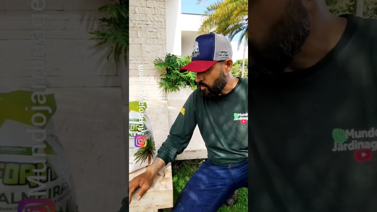 COMO ADUBAR PALMEIRA #jardim #manuten&ccedil;&atilde;odejardim