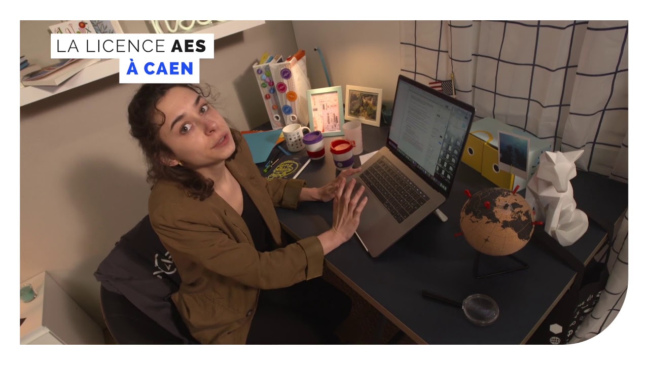 Licence AES · Comment on y travaille ?