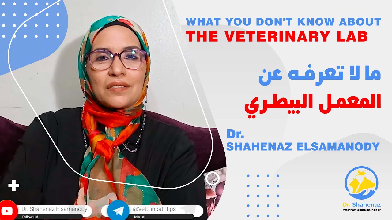 ما لا تعرفه عن المعمل البيطري - THE VETERINARY LAB