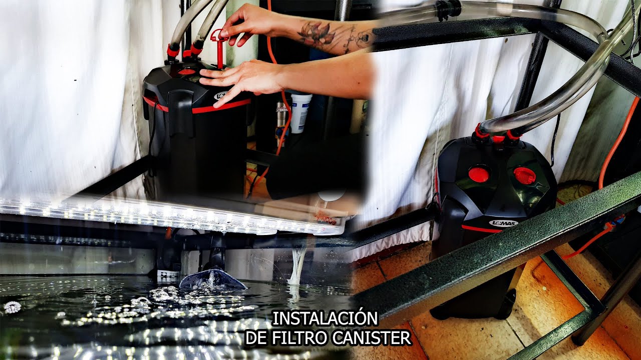 Como INSTALAR un FILTRO CANISTER para TU ACUARIO CORRECTAMENTE | AcuariosLP