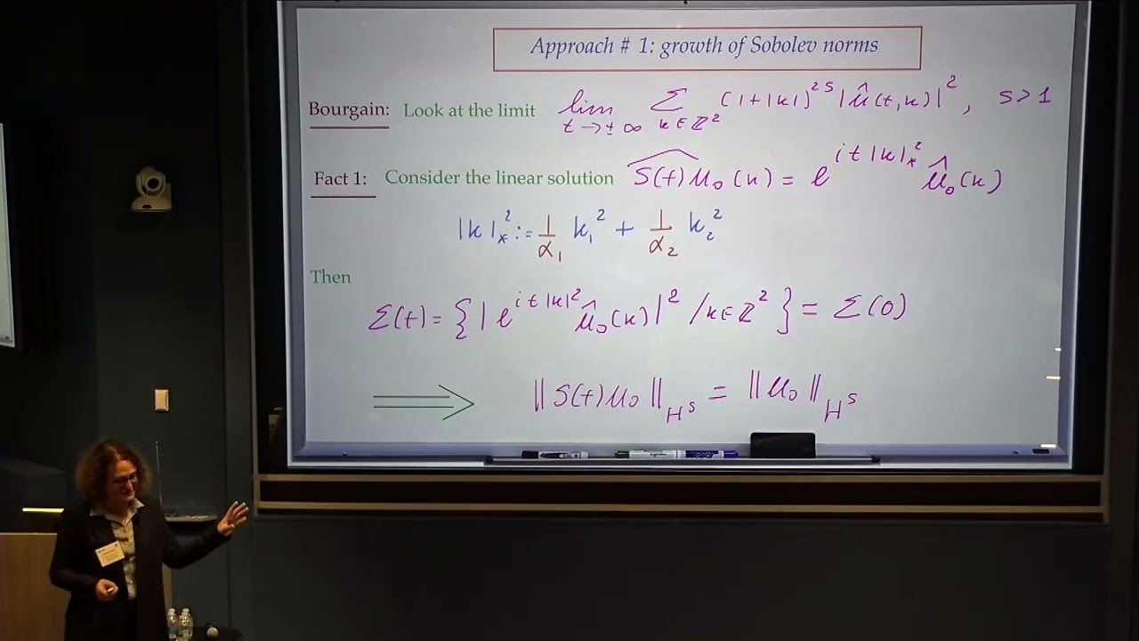 Gigliola Staffilani: Some Mathematically Rigorous Results in Wave Turbulence Theory (Dec. 4, 2025)