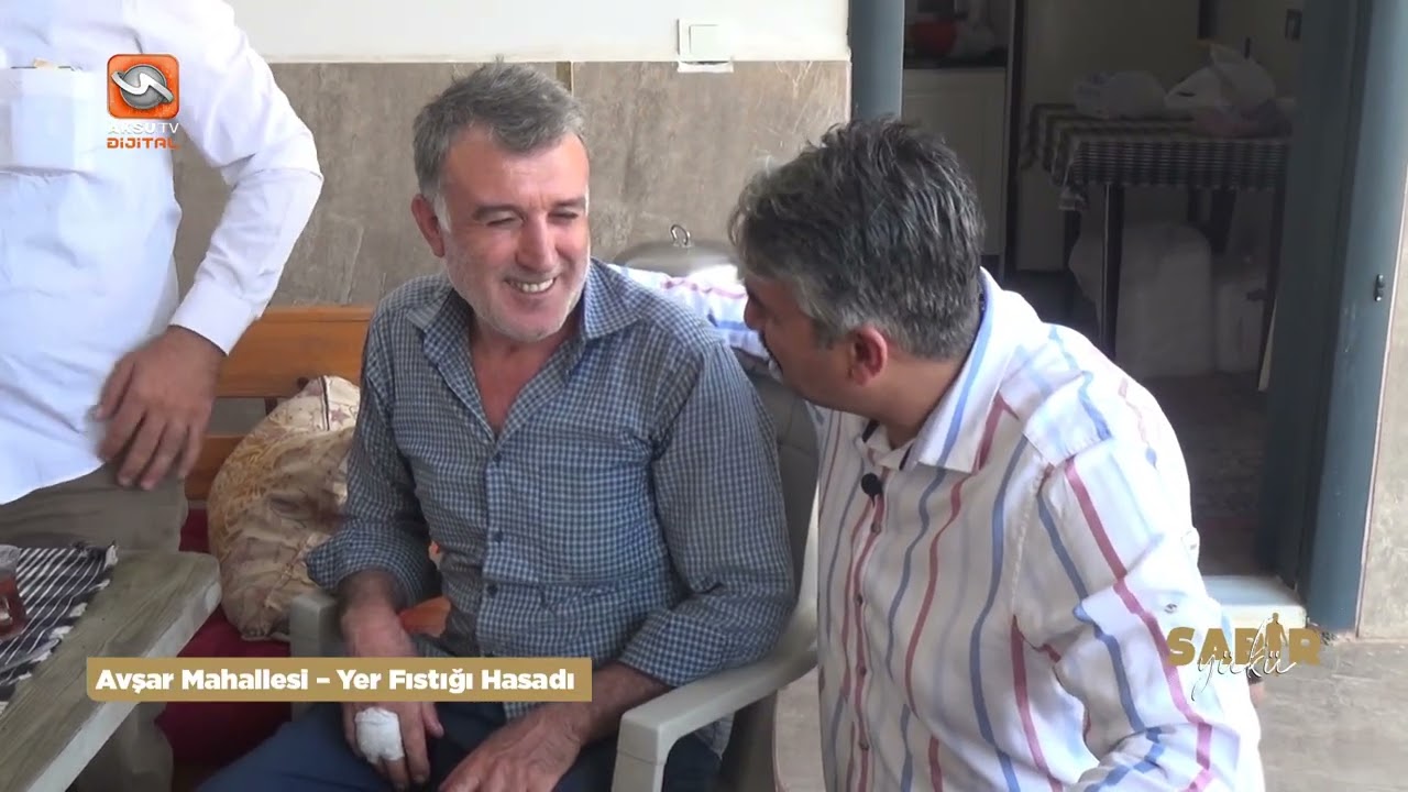 Sabır Yükü   Avşar Mahallesi – Yer Fıstığı Hasadı 01 12 2024