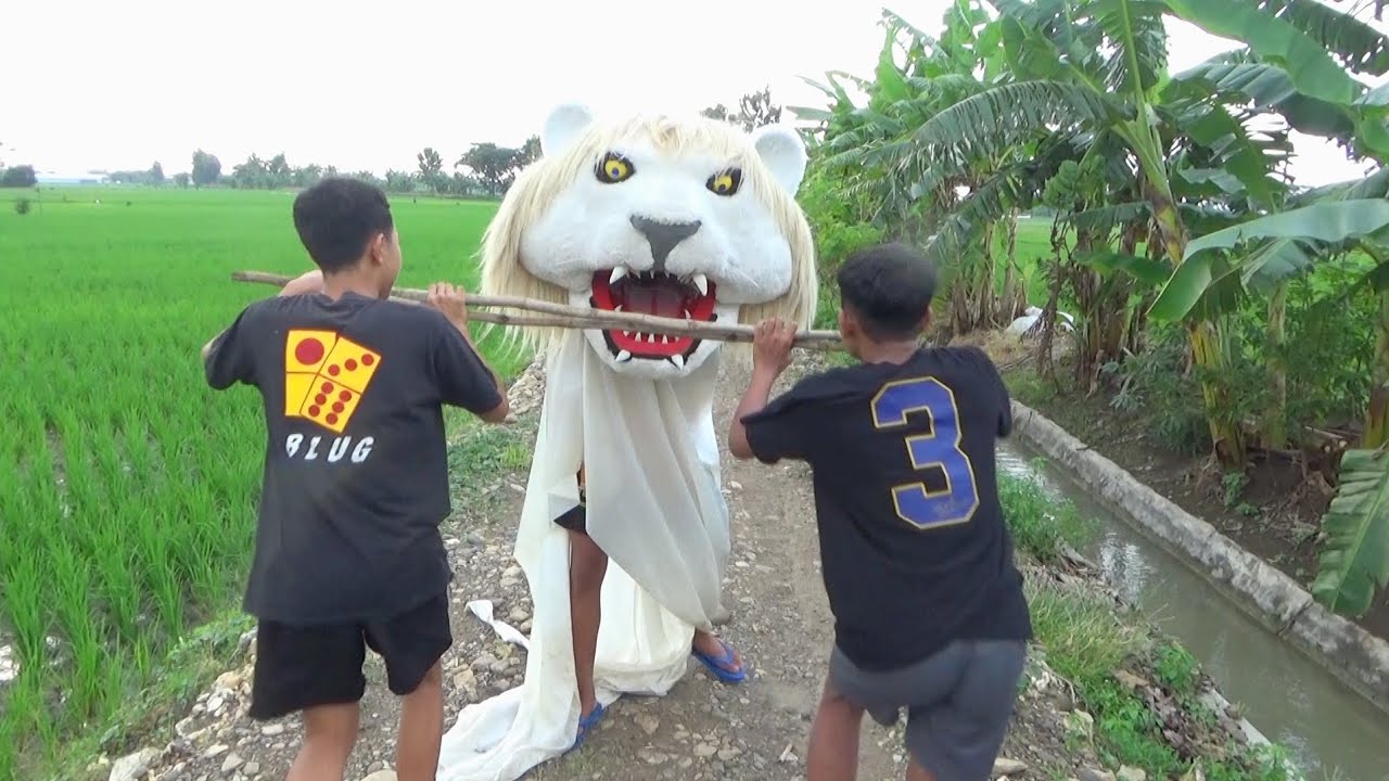 Barongan singa putih di hajar dua pemuda