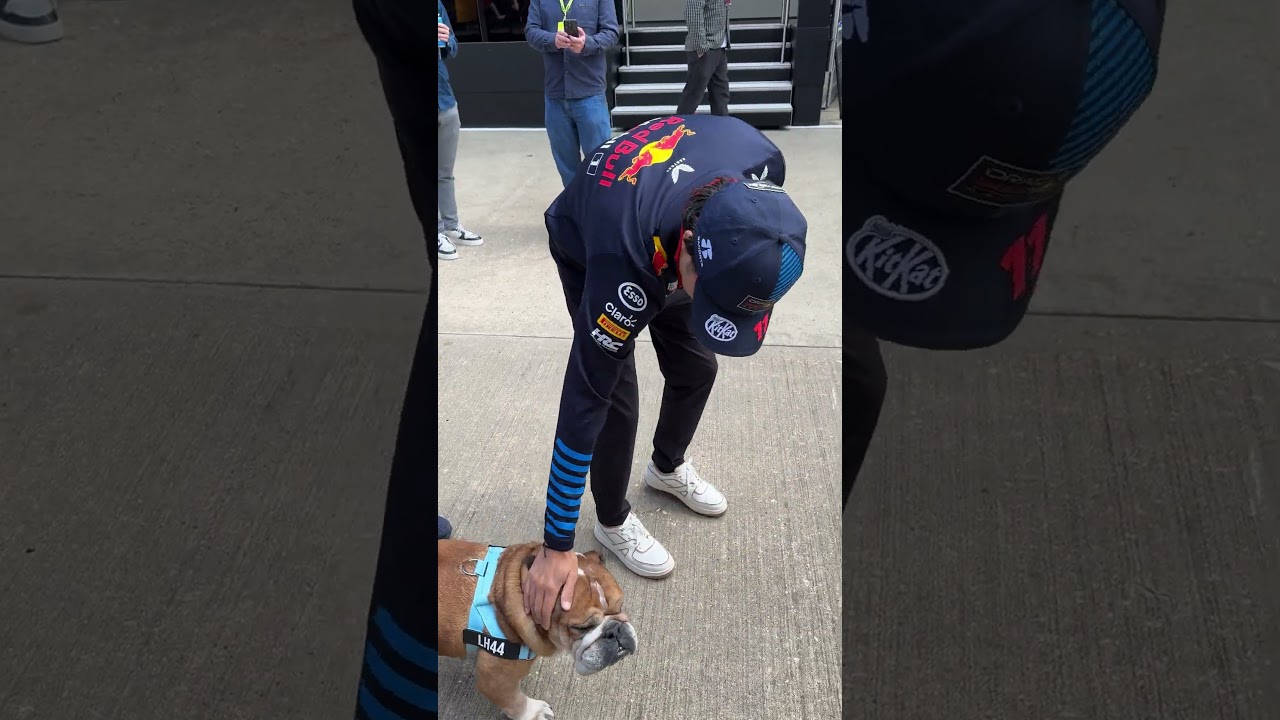 When Checo sees Roscoe 😍🐶 #F1 #RedBullRacing #BritishGP