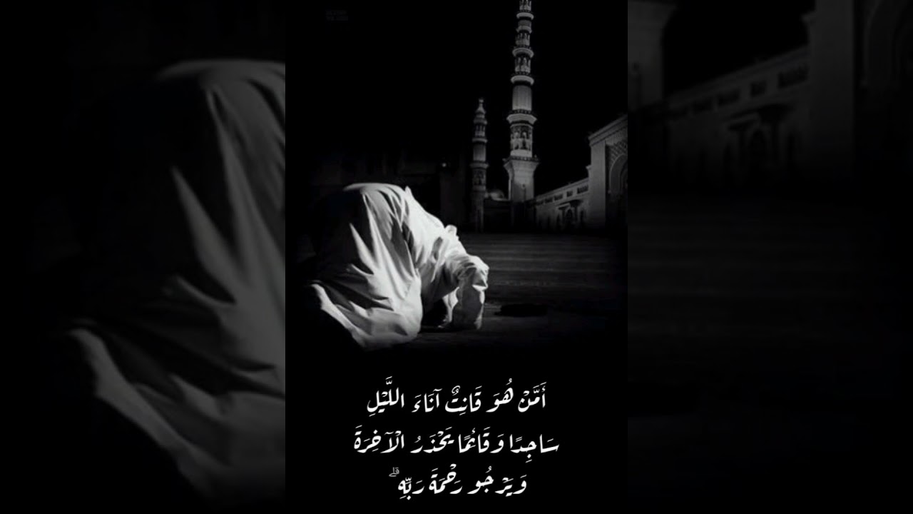 أمّن هو قانت آناء الليل ساجدًا وقائمًا...، ١٦ رمضان ١٤٤٧ هـ، @abomalek73583#القنوت  #الليل #السَحَر