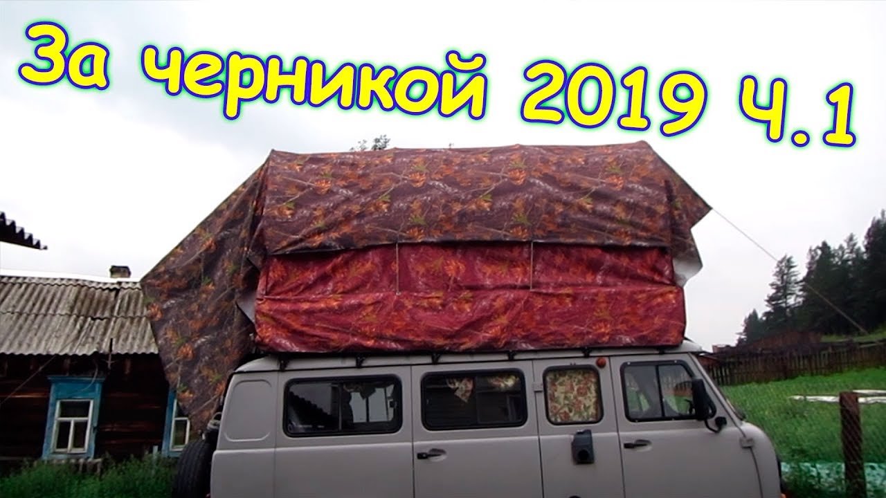 За черникой в тайгу. Ч.1 - сборы и едем в черничник. (07.19г.) Семья Бровченко.