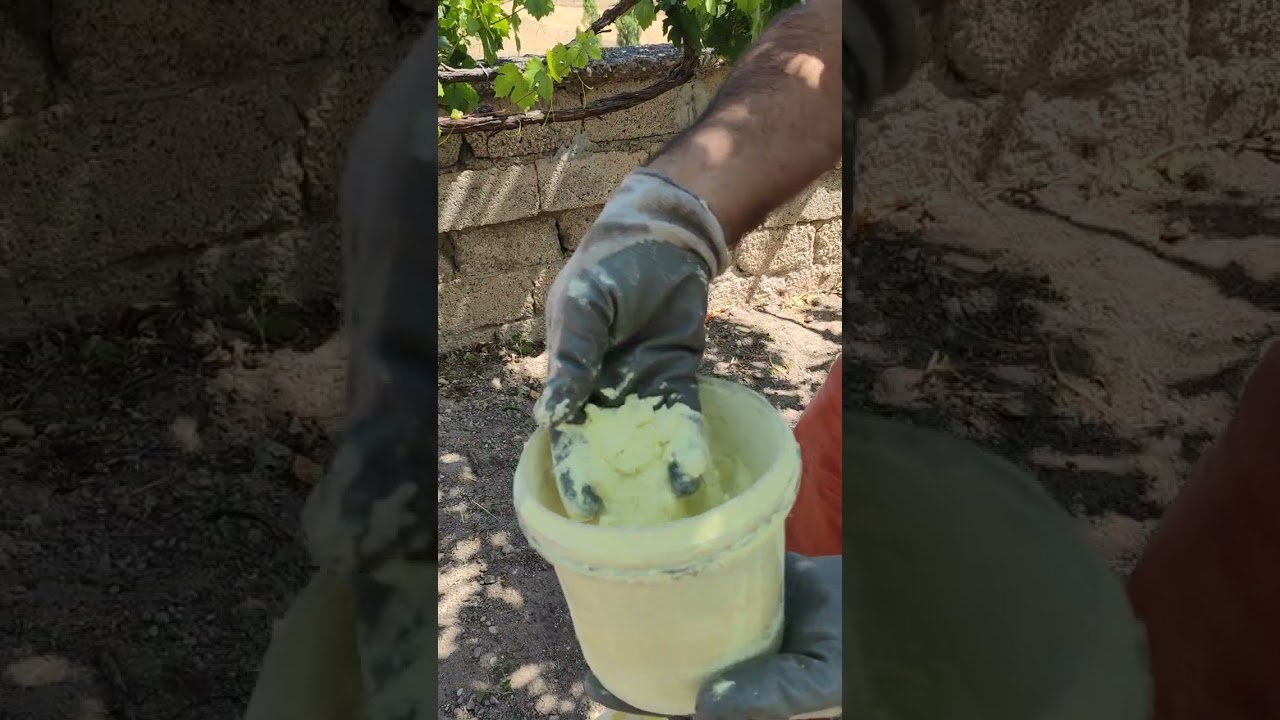 Nevşehir Avanos Göynük köyünde üzüm bağı bakımı için kükürt uygulaması..