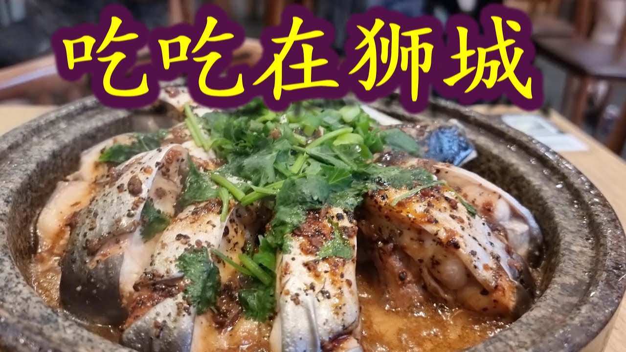 【吃吃在狮城】|  Eat Eat @ Lion City |（石锅蒜香鱼 | 烤中翅 | 烤鸡胗 | 秘制小鲜肉 | 煎饼果子 | 白咖啡 | 黑咖啡 | 红斑鱼头枦 | 药材海参鸭）