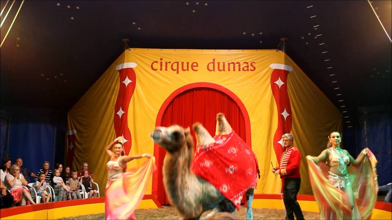 - Cirque William DUMAS - Spectacle 2016