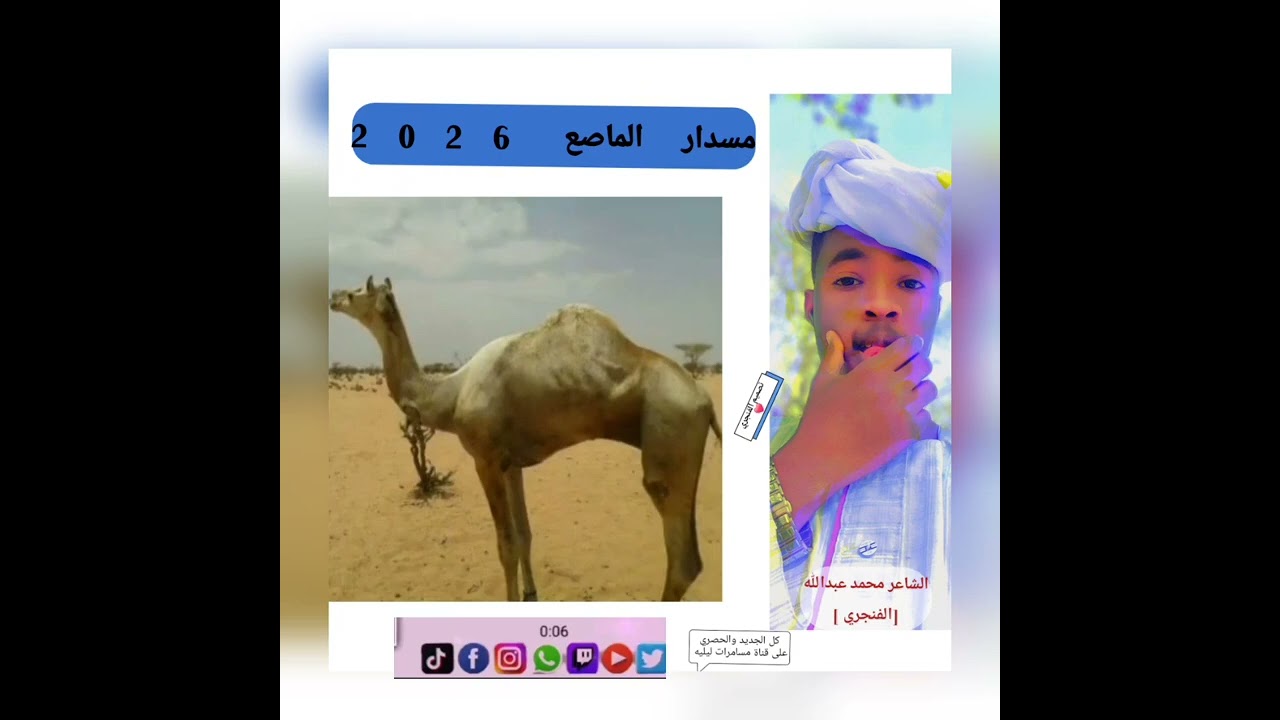 جديد مسدار الماصع//  مع الشاعر  محمد عبدالله(الفنجري ) 