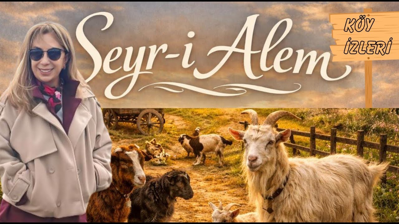 Yeni Doğan Hayvanlar, Gülümseten Anlar, Kalbe Dokunan Yörük Kültürü | Nil Sezer Yörük Çadırında