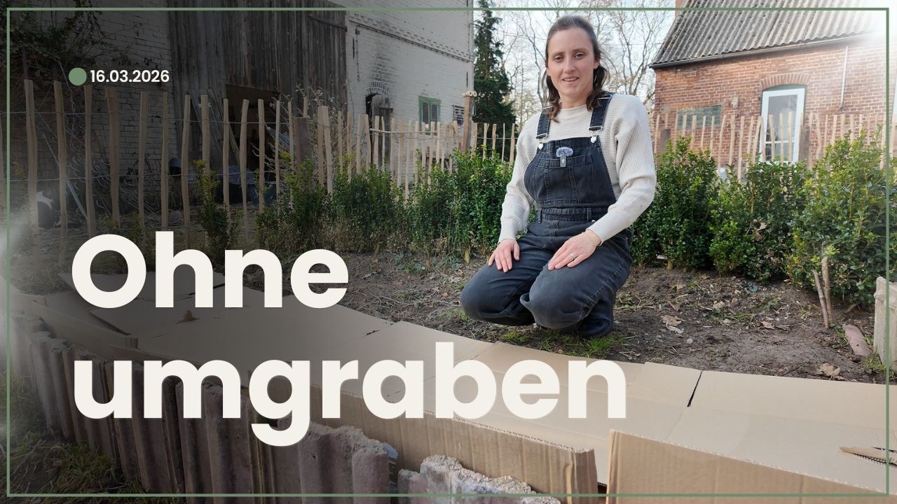 Unser neues Beet – ohne Umgraben