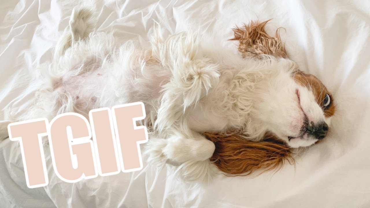 A DAY AT WORK AND FRIDAY NIGHT MEAL FUN! // April 23-24 Vlog