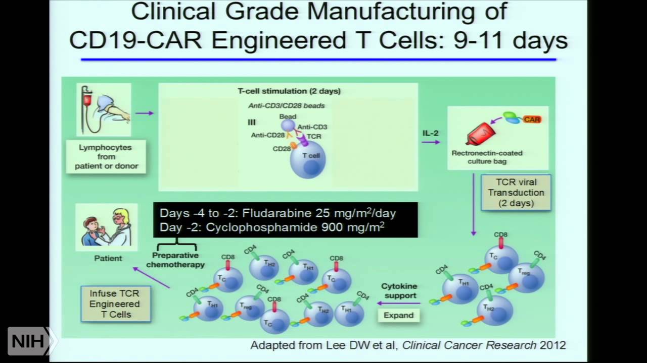 The Immune System in Childhood Cancer: Mobilizing the Troops