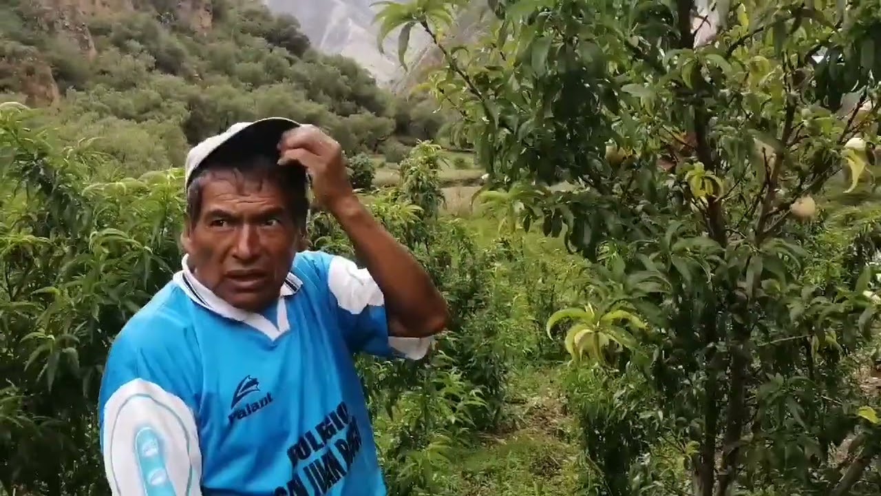 Morcolla Chico 🍎 Asquipata  😍 Victor Fajardo Ayacucho ✔ Huamanguina