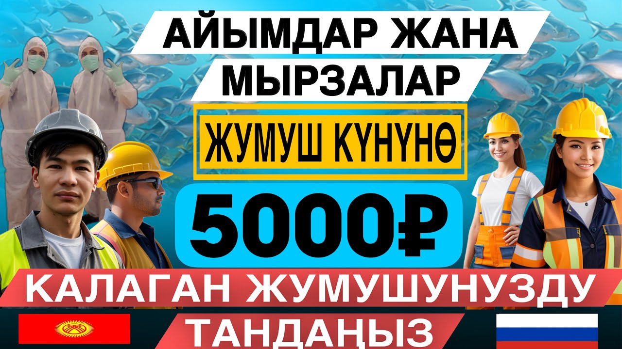 🔥ЖУМУШ КҮНҮНӨ 5000₽ 🔥ИШ ИЗДЕГЕН ДОСТОРГО ЖӨНӨТҮНҮЗДӨР🫡#жанылыктар #жумуш #кыргызстан #москабар #такс