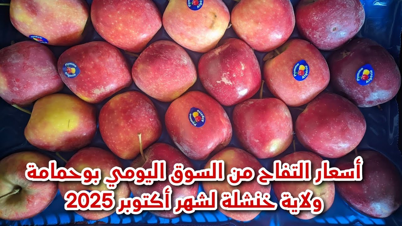 أسعار التفاح من السوق اليومي بوحمامة ولاية خنشلة لشهر أكتوبر 2025 سوق التفاح الوطني الجزائر