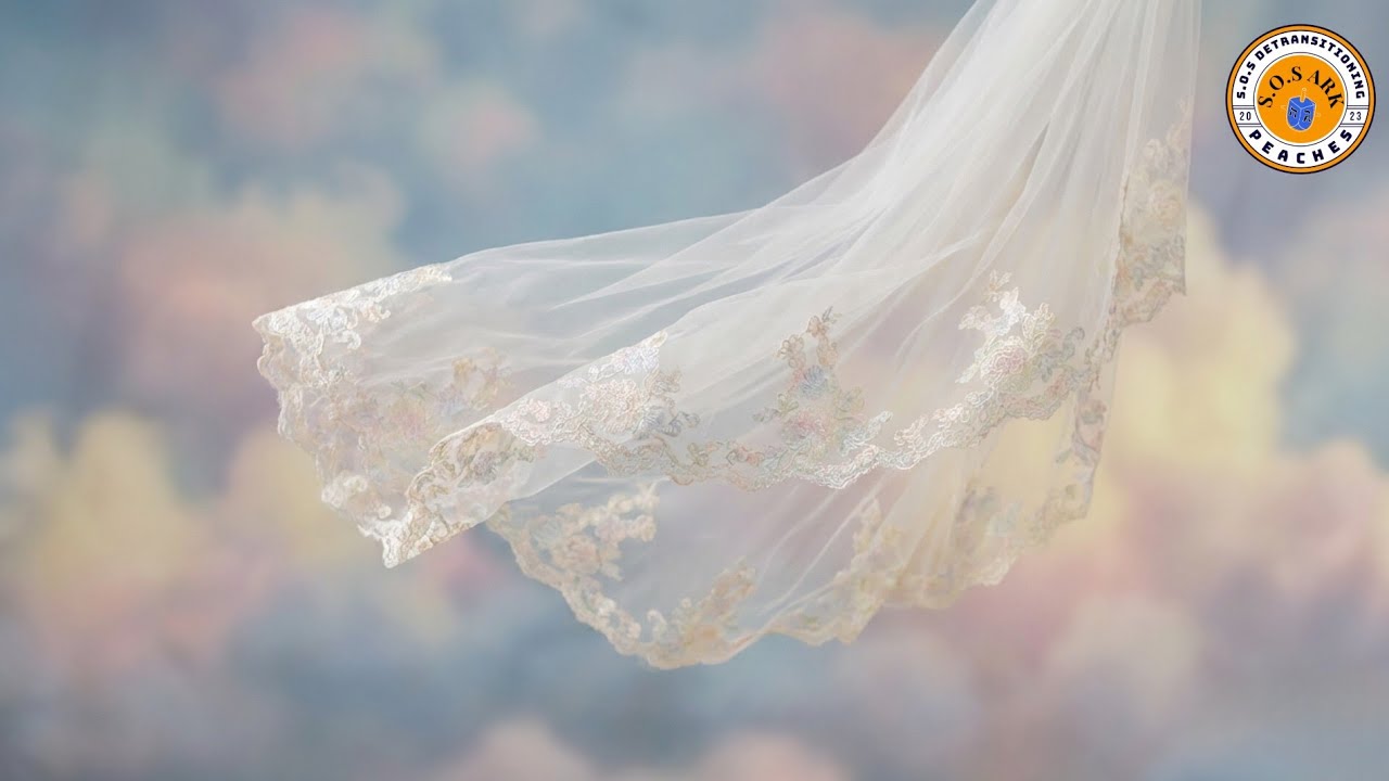 THE VEIL