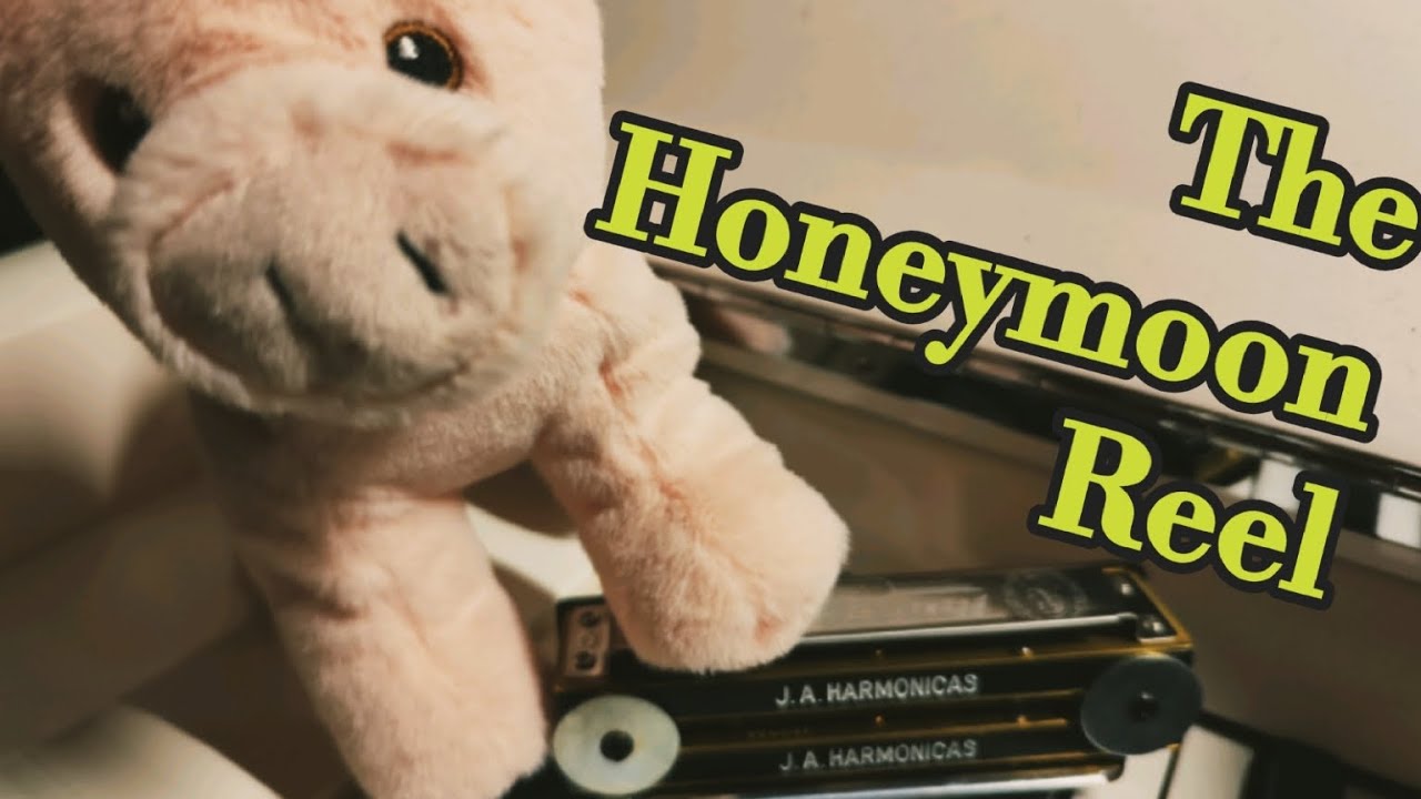 The Honeymoon (Reel) - Harmonica (+Tabs) @TunesFromDoolin