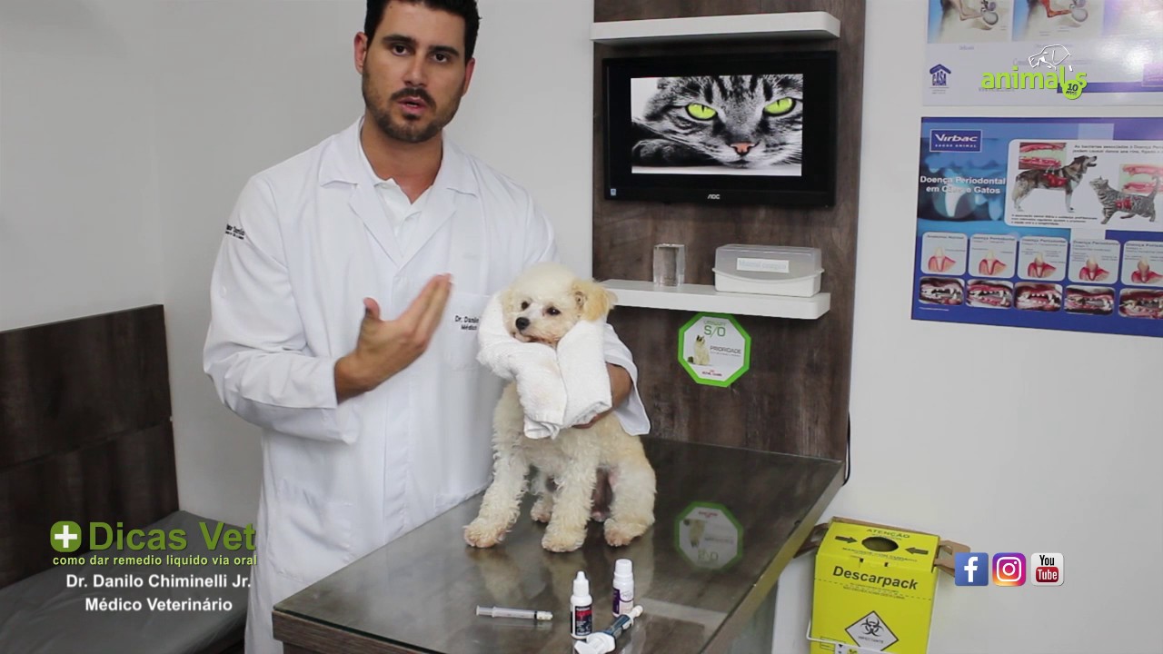 Clinica Animals - Dicas Vet 6 - Como dar remédio líquido por via oral
