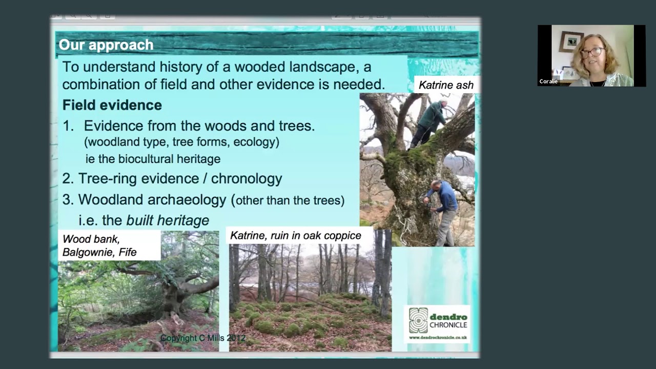Barrhill Wood - Past, Present & Future