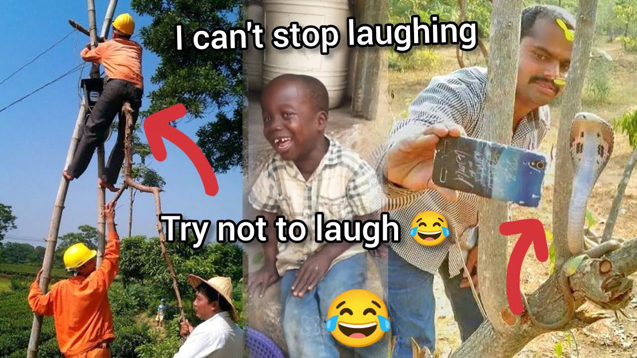 99% of People Can’t Watch This Without Laughing 😂 Funniest Videos of the Year 😂 #funnyvideo 