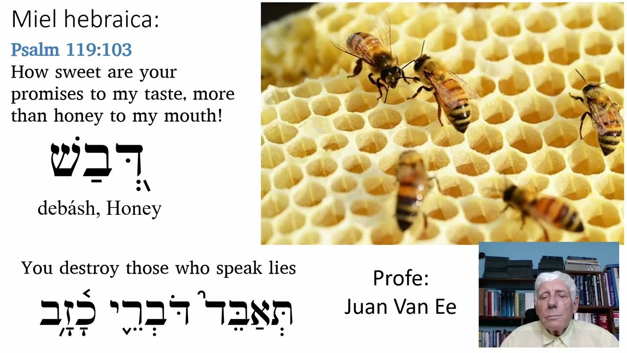 You destroy those who speak lies