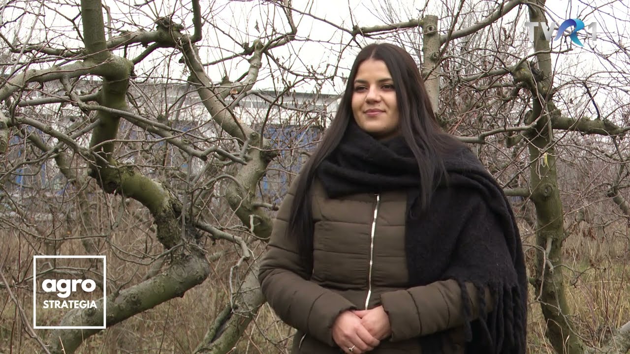 În Grădina Danei: Tratamente de iarnă la pomi