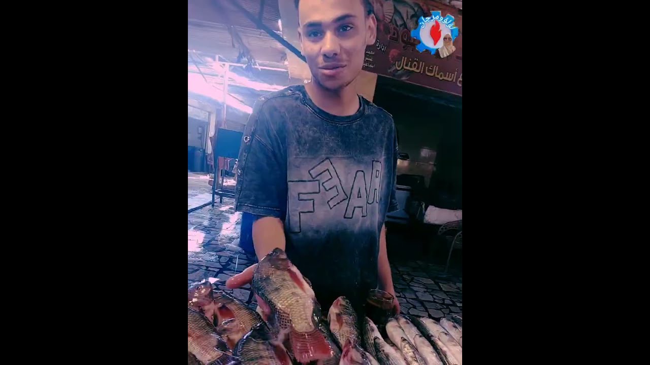 موسم الصيد ابدأ  أسماك السويس والكابوريا  بالأسعار وأرخص الأسعار جولة في سوق الأنصاري محافظه السويس