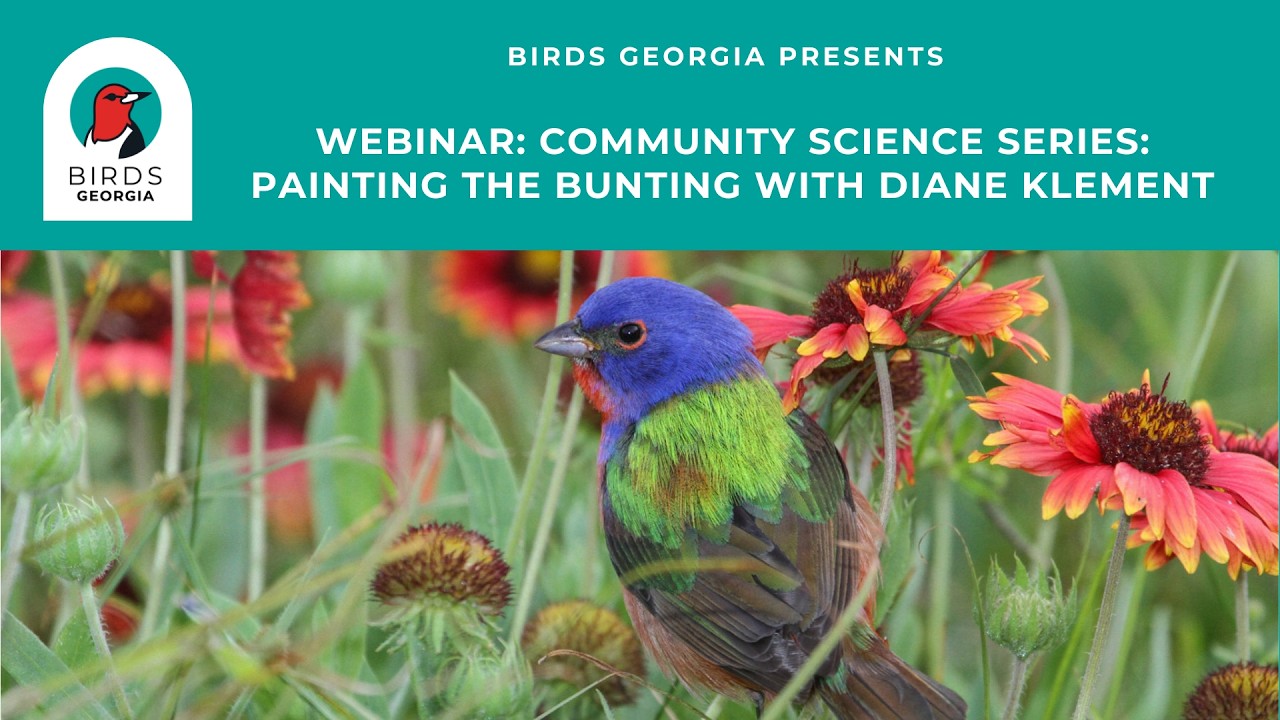 Community Science Series: Painting the Bunting with Diane Klement