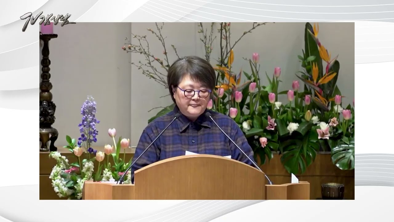 TV감상담 251화