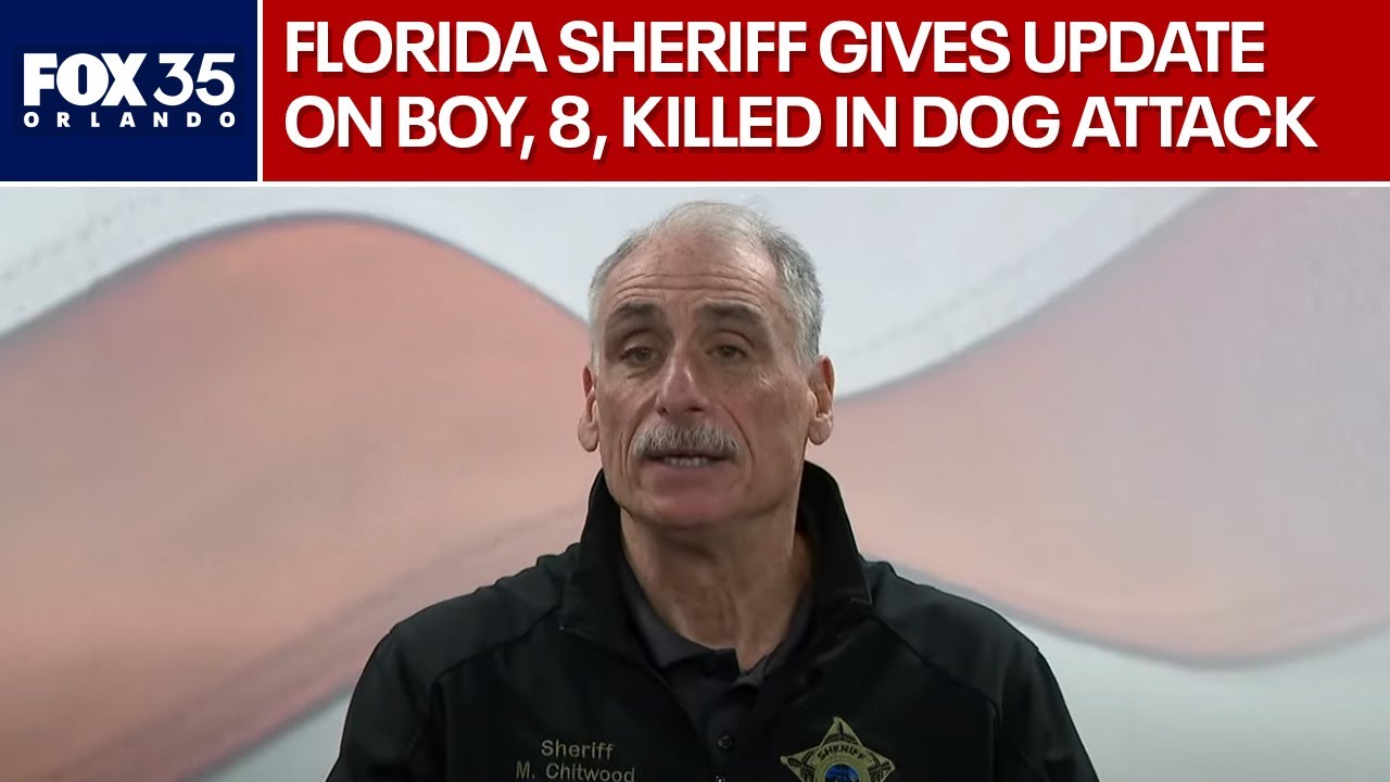 Florida sheriff gives update after boy, 8, killed in dog attack