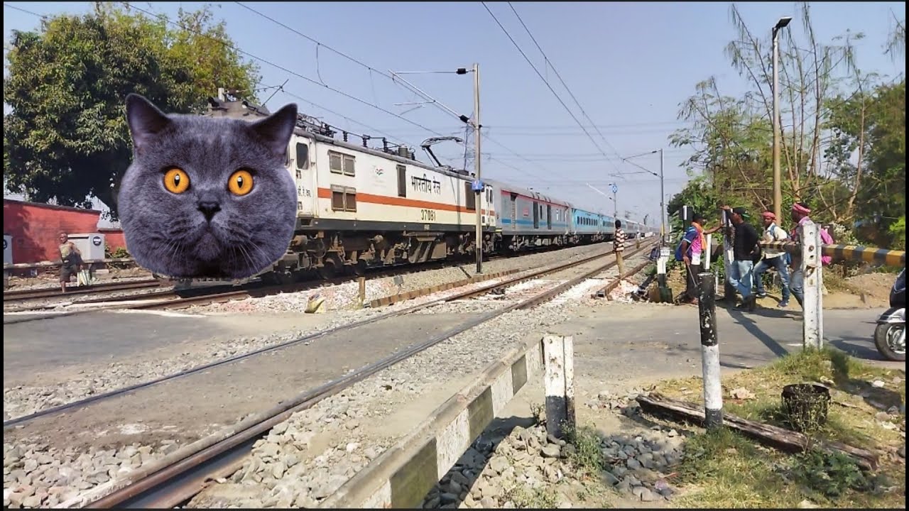 Viral CAT Headed Aggressive Coalfield Express Deadly Attack At Railgate