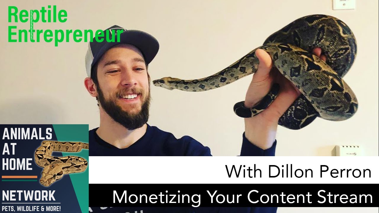 Monetizing Your content stream