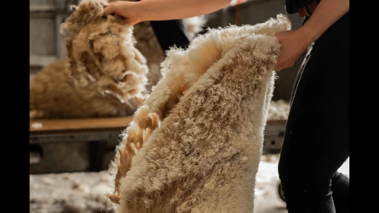 British Wool: Local, Quality, Sustainable Insulation - Heartwood Saunas