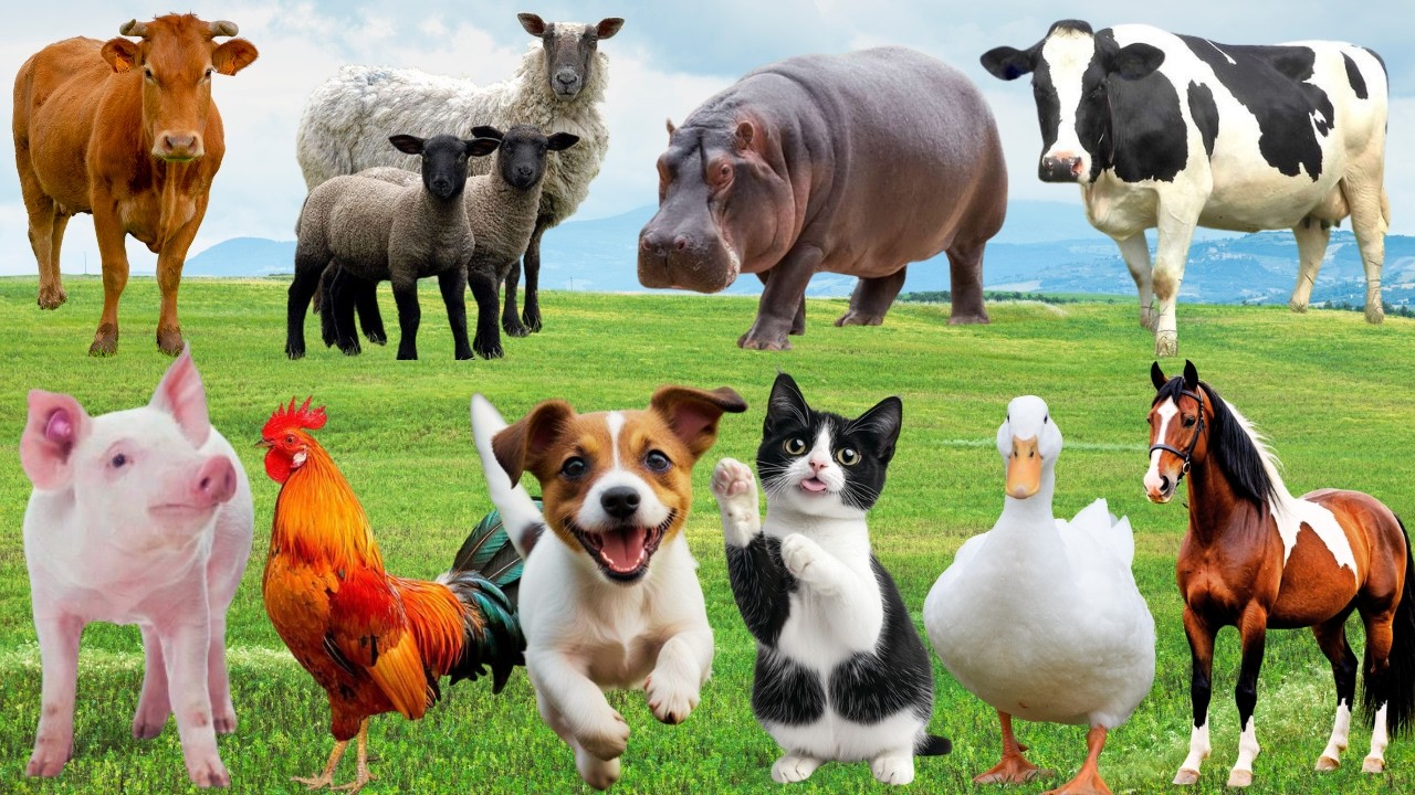 🌿 Đồng Quê Hân Hoan “Âm Thanh Hạnh Phúc” – Chó, Mèo, Heo & Vịt Trổ Tài Đáng Yêu | FarmAnimals 🐶🐱🐷🦆