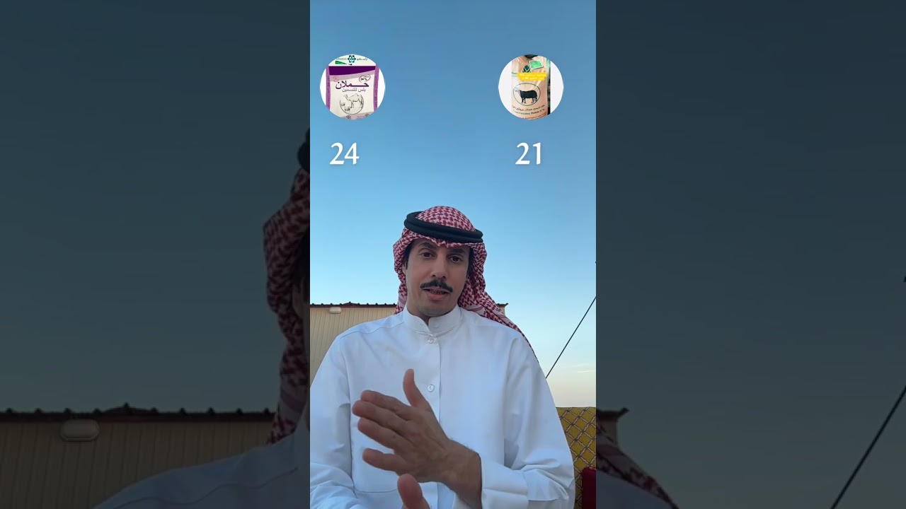 تجربتي مع اعلاف حملان لتسمين