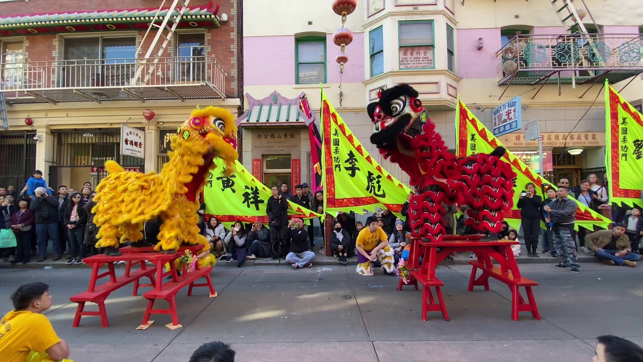 2019 World Dragon and Lion Dance Day: Yau Kung Moon Double Lion Bench routine