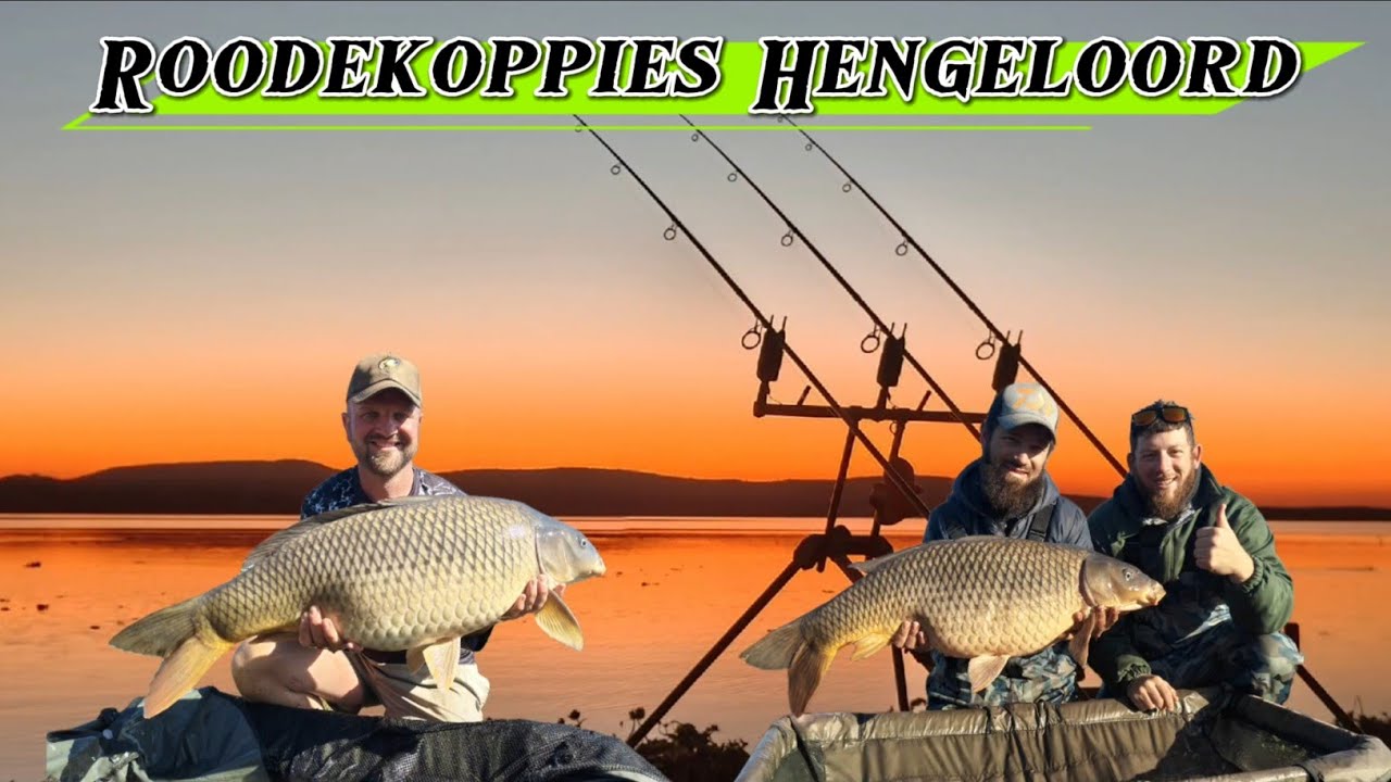 ⚡Roodekoppies Hengel Oord⚡