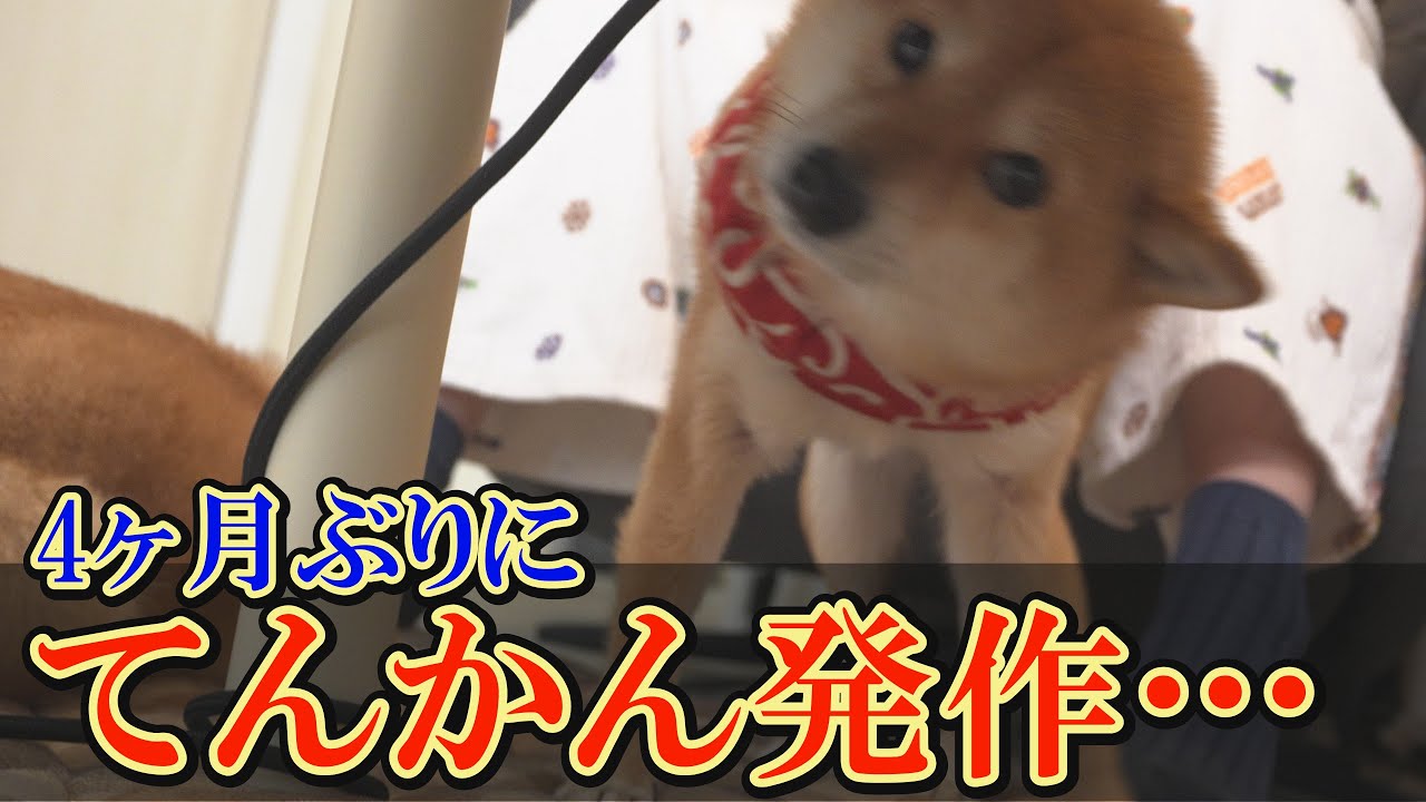 昨夜から軽度な発作が、止まらなくなりました・・・