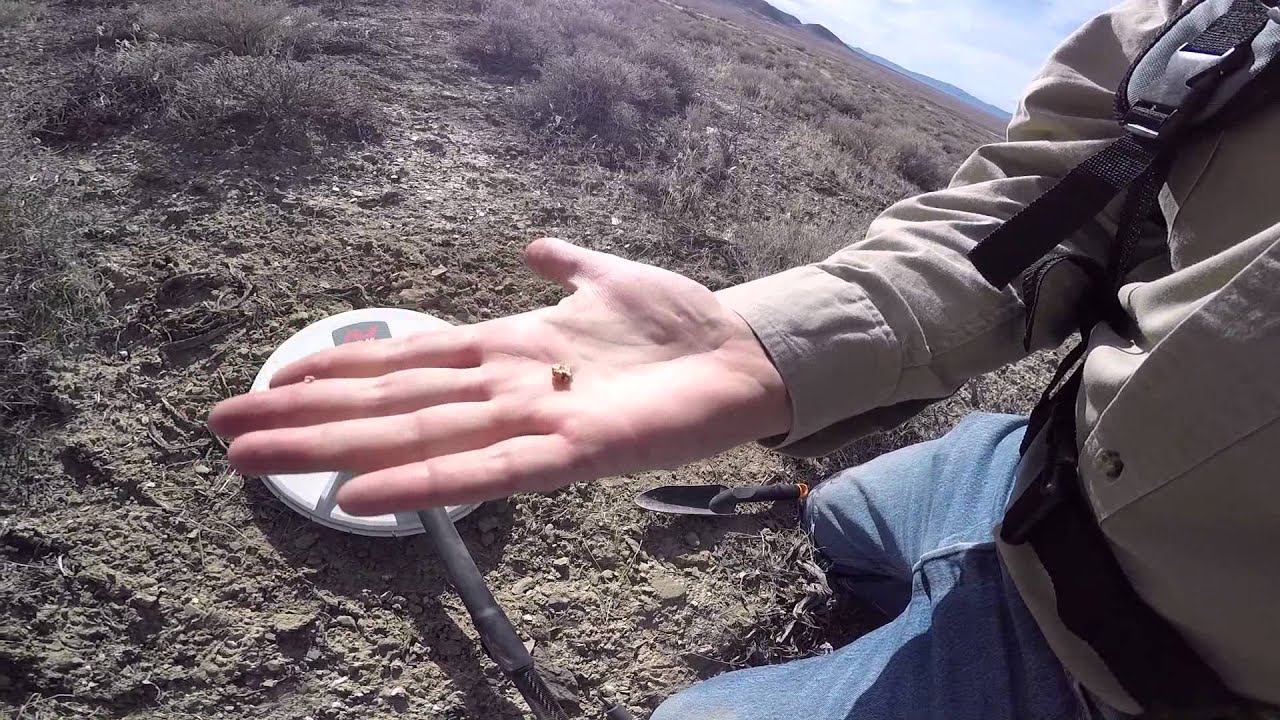 Minelab GPZ 7000 - The Future of Gold Detection